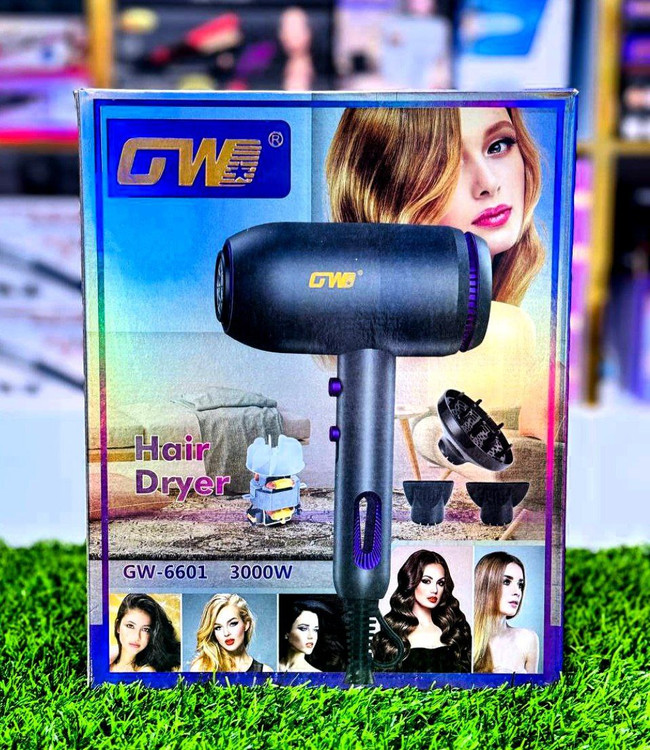 سشوار موتور سنگین GW